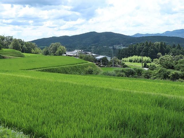 筑後市